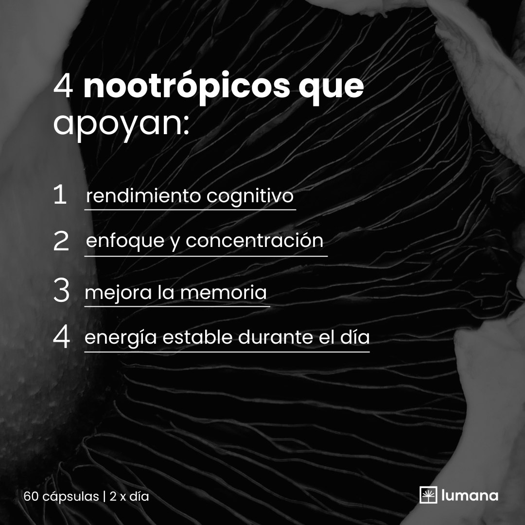 LUMANA® FOCUS | STACK NOOTRÓPICO