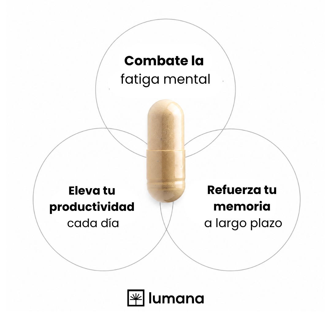 LUMANA® FOCUS | STACK NOOTRÓPICO