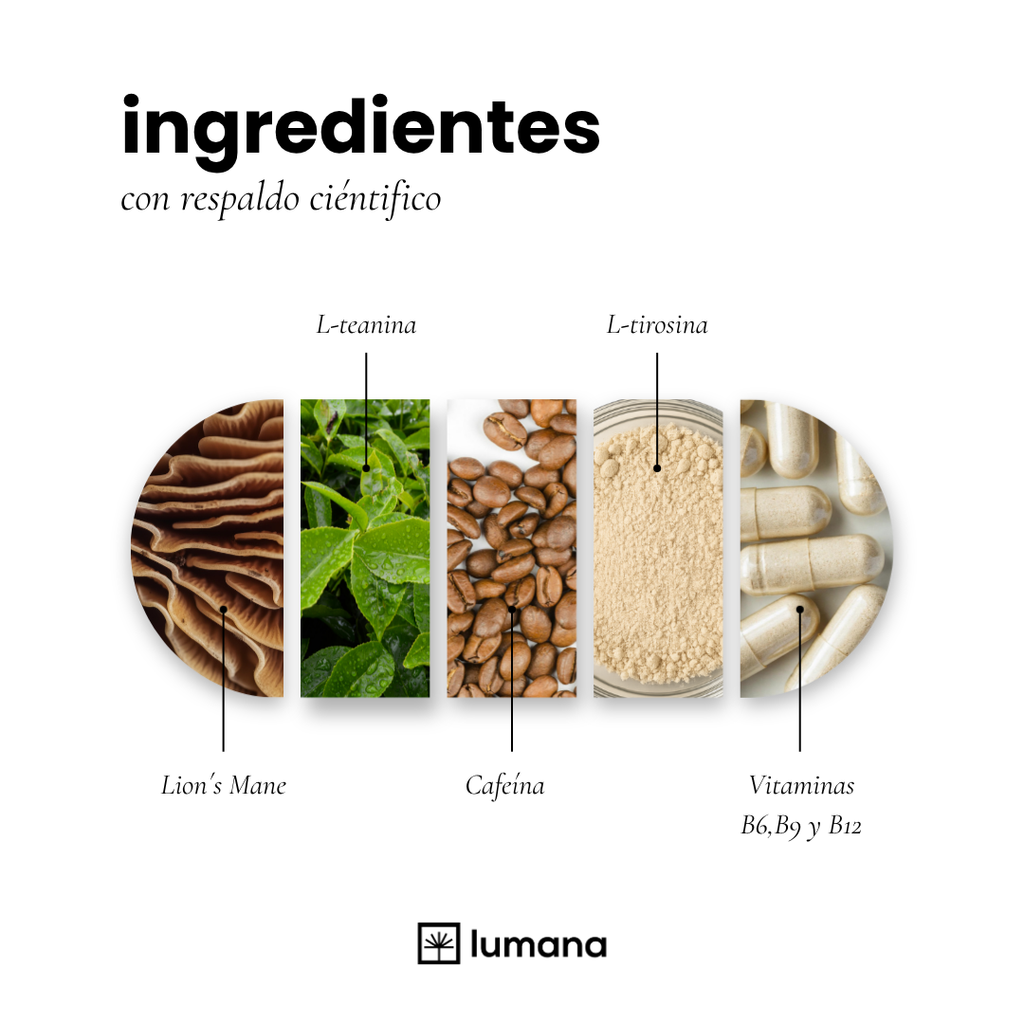LUMANA® FOCUS | STACK NOOTRÓPICO